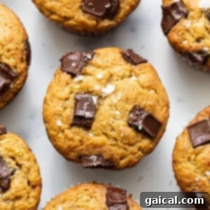 Top Protein Picks for 2023 2 protein muffins on counter. A delicious batch of protein muffins arranged neatly on a kitchen counter, ready to be enjoyed.