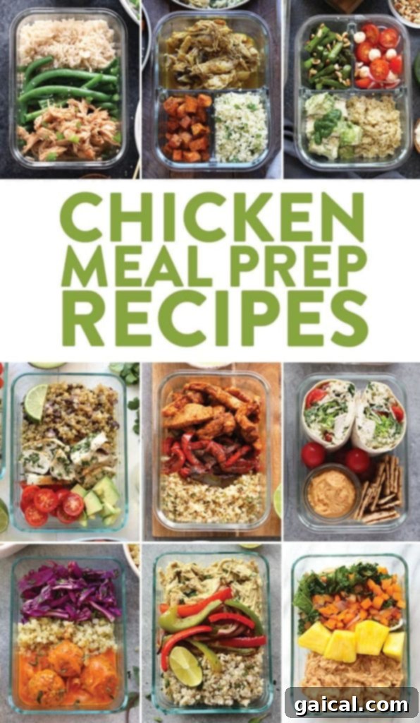 A perfectly portioned chicken meal prep box with seasoned chicken breast, roasted vegetables, and quinoa.