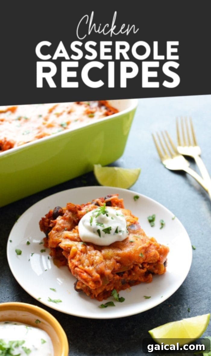 A delicious overview of various chicken casserole recipes, featuring hearty and comforting meal prep options.