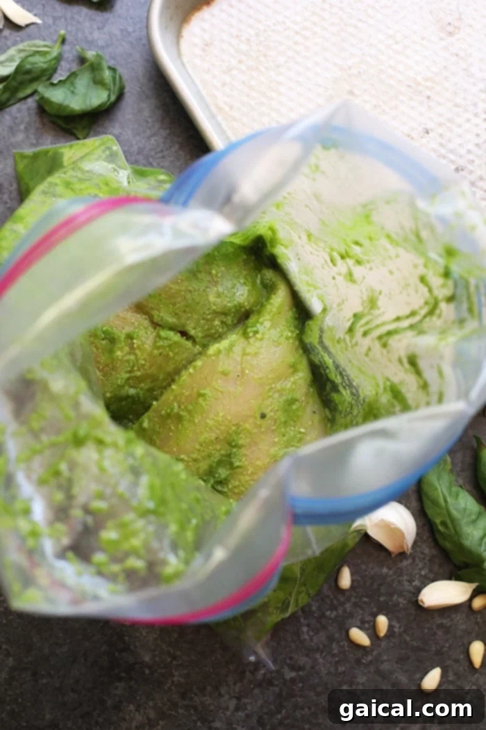 Chicken breasts being marinated in vibrant pesto sauce inside a clear resealable bag, ready for baking.