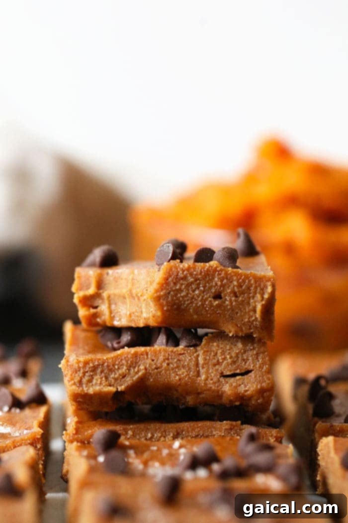 A close-up shot of pumpkin almond butter freezer fudge in a parchment-lined baking pan, freshly topped with mini chocolate chips and a sprinkle of sea salt before being placed in the freezer to set.