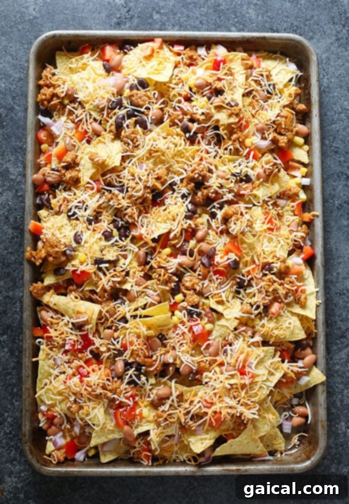 Loaded Baked Chicken Nachos 4 Layered chicken nachos on a metal pan, ready to be baked to cheesy perfection.