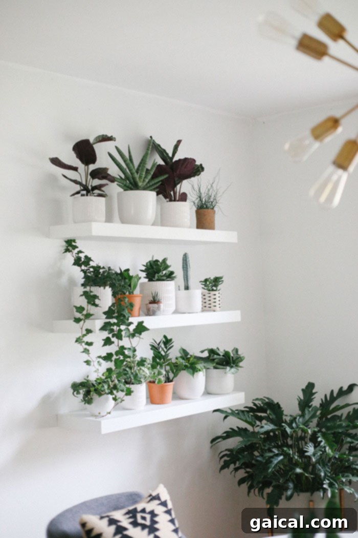 We're talking all things Fit Foodie HQ today with our mid-century home office room reveal! Check out our new multi-person workspace fully equipped with mid-century open shelving for our photography props, plants galore, lots of modern decor, and a wall tapestry! Plant Wall