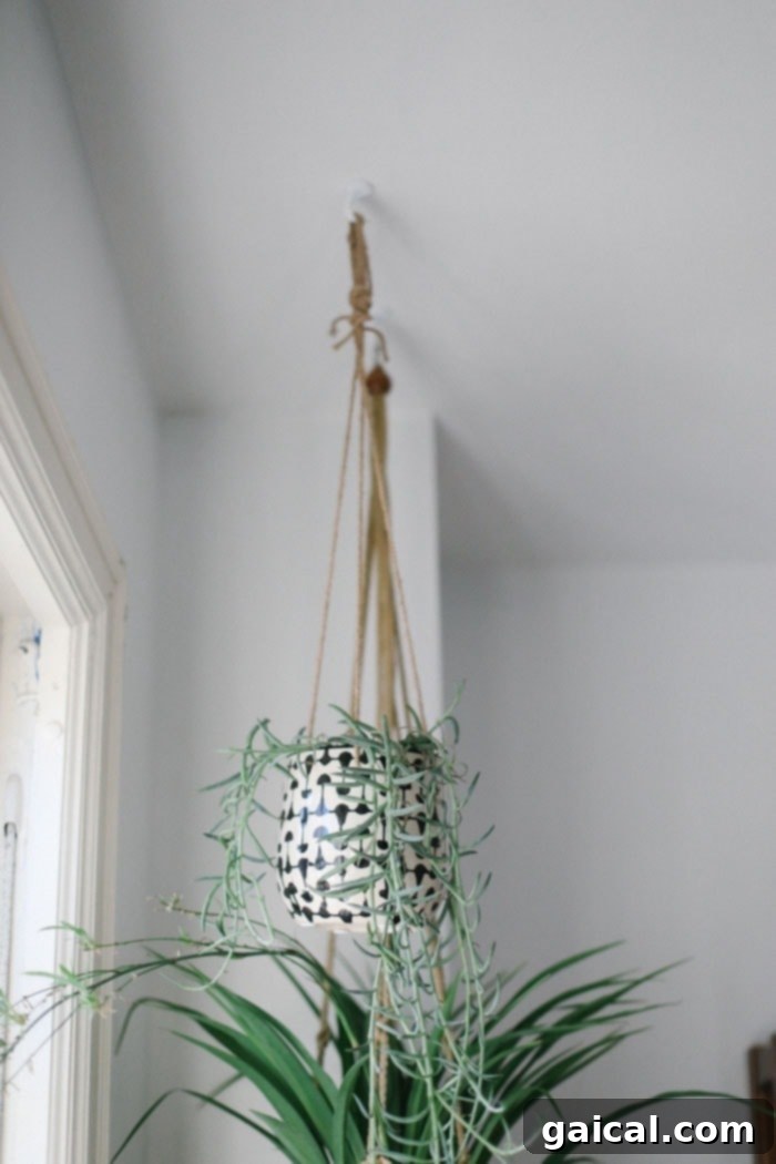 We're talking all things Fit Foodie HQ today with our mid-century home office room reveal! Check out our new multi-person workspace fully equipped with mid-century open shelving for our photography props, plants galore, lots of modern decor, and a wall tapestry! Hanging Planters