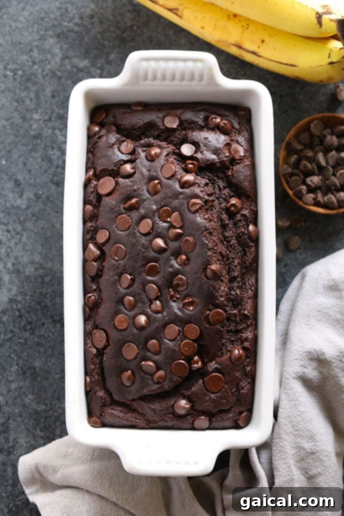 A slice of chocolate chocolate chip banana bread on a white plate, showcasing its moist texture and abundant chocolate chips.