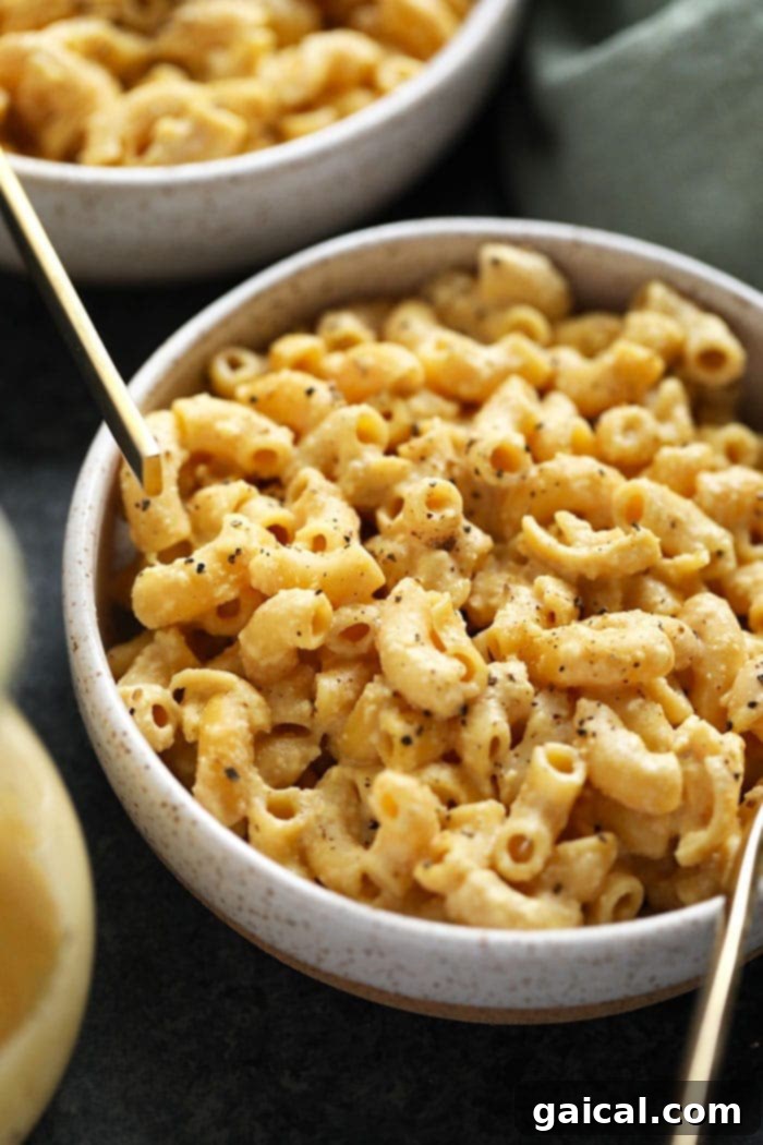 A single bowl of vegan mac and cheese, invitingly presented and ready to eat.