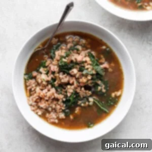 A vibrant bowl of Ground Turkey Farro Soup with Kale, garnished with fresh herbs.