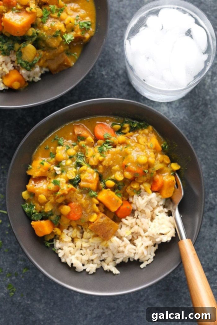 Effortless Instant Pot Curry Delights 2 A generous bowl of creamy Instant Pot Sweet Potato, Lentil, and Kale Curry, garnished with fresh cilantro, ready to be enjoyed.