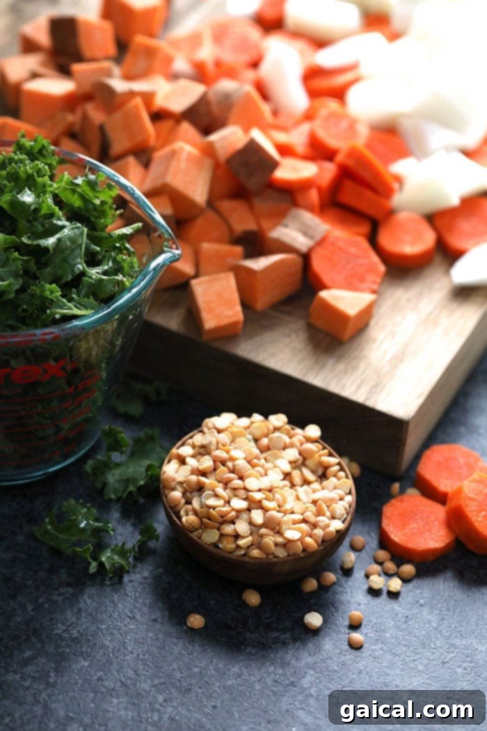 Effortless Instant Pot Curry Delights 3 Close-up of dried red lentils and diced sweet potato, key ingredients for a healthy vegan curry.