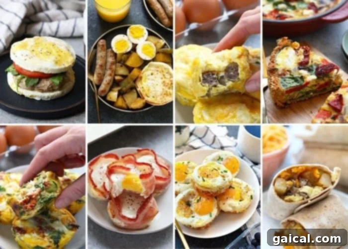 Selection of healthy egg recipes for breakfast