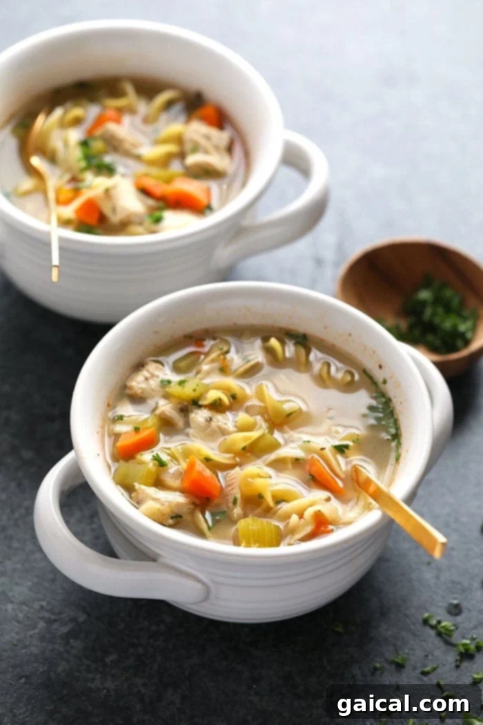 Delicious Crockpot Chicken Noodle Soup ready to be enjoyed. A steaming bowl of Crockpot Chicken Noodle Soup with a spoon, garnished with fresh parsley.