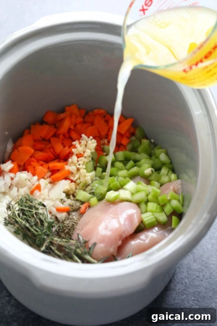 Slow cooker filled with chicken, vegetables, and broth. All ingredients submerged in broth inside a slow cooker, ready for cooking.