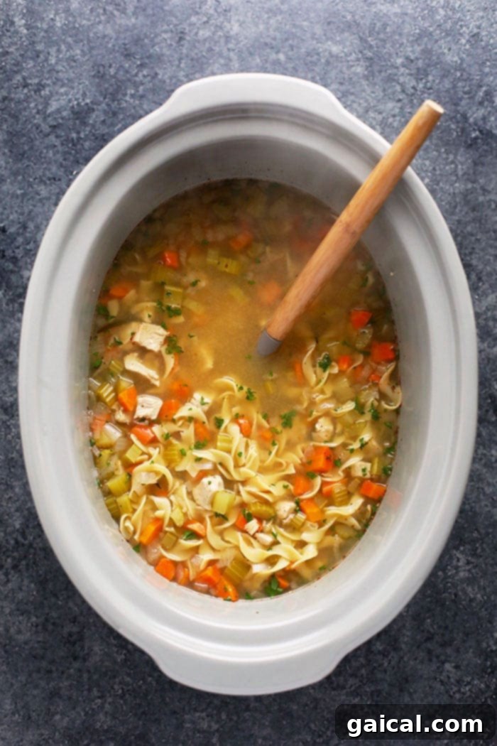 Hearty chicken noodle soup ready to serve from the crockpot. Close-up of a crockpot full of steaming chicken noodle soup with a serving spoon.