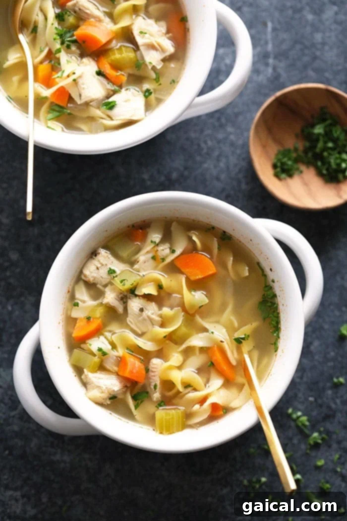 Perfectly cooked chicken noodle soup in a rustic bowl. A beautiful bowl of homemade chicken noodle soup with a spoon, garnished with herbs.