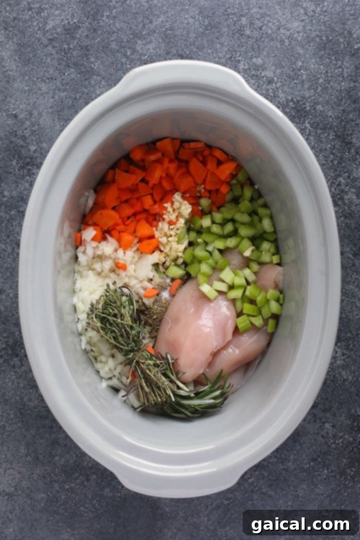 Prepping the slow cooker with chicken soup ingredients. Fresh ingredients for chicken noodle soup arranged inside a slow cooker before cooking.