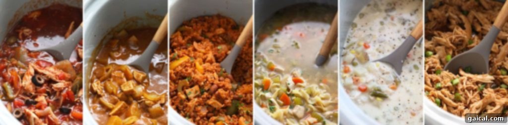 Assortment of crockpot chicken recipes, including cacciatore.