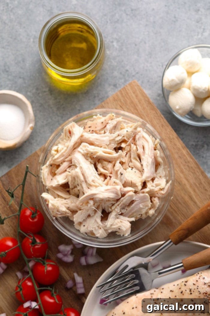 Your delicious healthy chicken salad starts with perfectly shredded chicken, forming the versatile base for our Greek yogurt-based recipes and delightful add-ins. Bowl of perfectly shredded chicken, ready for making chicken salad