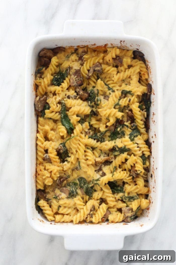 A bubbling, golden brown vegan pasta bake with white wine cashew sauce, fresh from the oven in a large casserole dish, ready to be served.