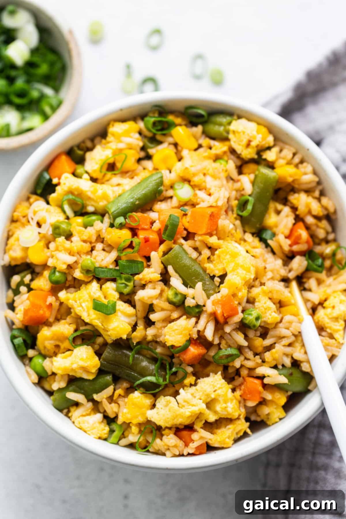 A beautifully presented bowl of Instant Pot fried rice, garnished with fresh green onions, ready to be enjoyed.