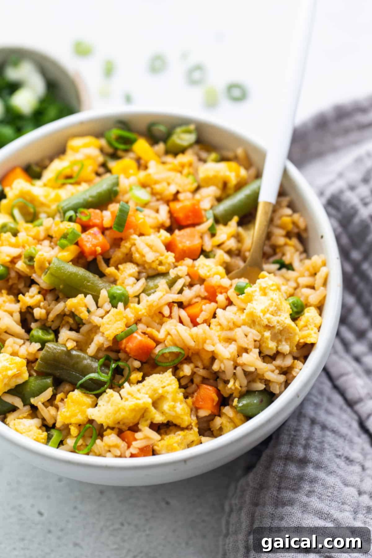 A close-up shot of the perfectly cooked Instant Pot fried rice in a pristine serving bowl, garnished with finely chopped green onions.