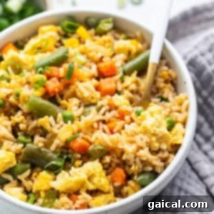 A neatly presented serving of Instant Pot fried rice in a bowl, showcasing its delicious texture and colorful ingredients.