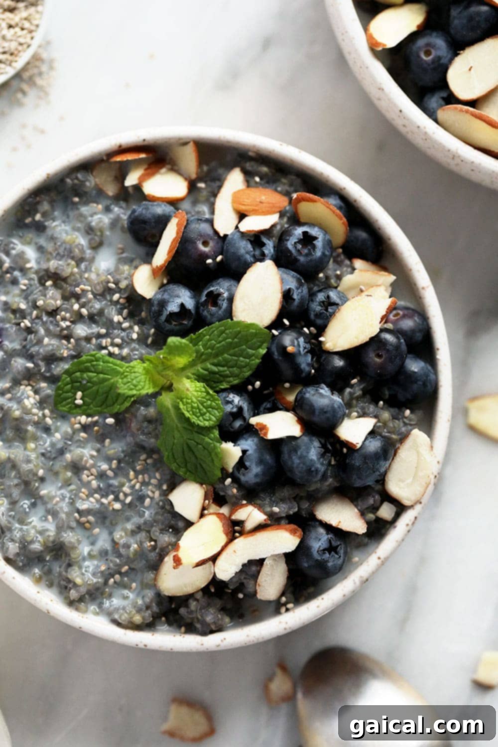 Wholesome Blueberry Quinoa Morning Bowl 2 Blueberry breakfast quinoa in a bowl.