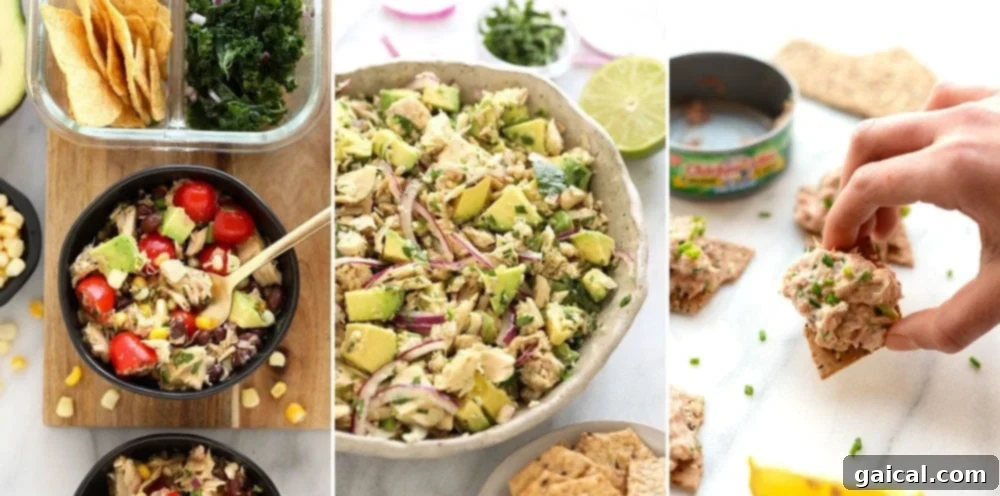 There is nothing better than a healthy tuna salad recipe that is easy to make for an easy protein packed lunch or snack throughout the week! A collage featuring three distinct healthy tuna salad recipes, showcasing their appealing textures and ingredients.
