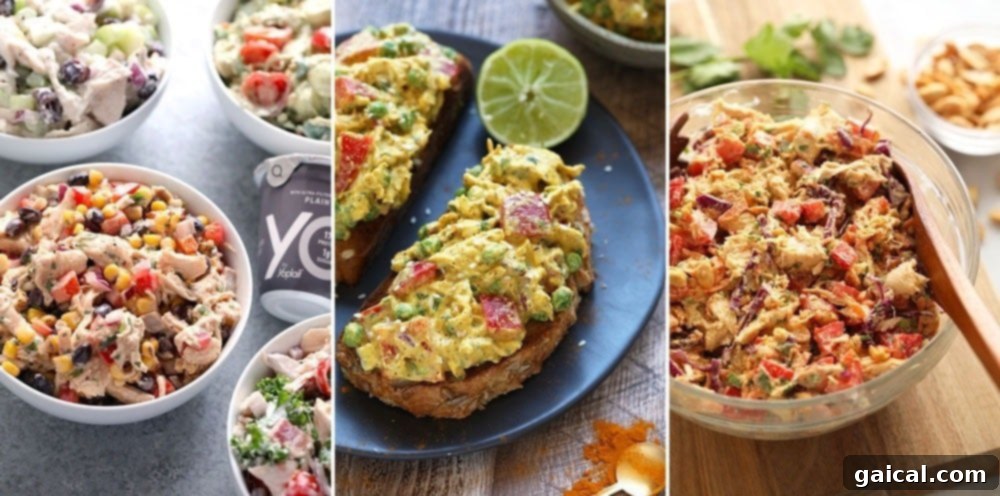 There are so many different variations of healthy chicken salad recipes! Make one today! A visual compilation of three delicious chicken salad recipes: a zesty Southwestern chicken salad, a flavorful curry chicken salad, and a savory Thai chicken salad.