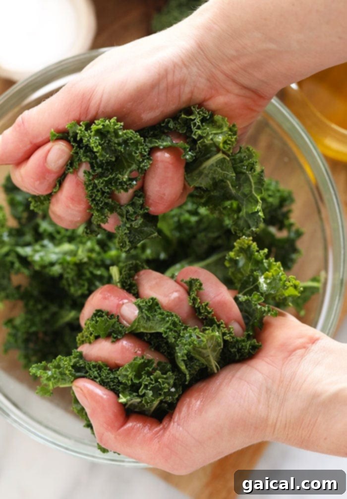Massaged Kale Salads are all the rage right now. We love massaged kale salads, but how do you massage kale? Don't worry, we've got you covered with this super simple tutorial! Let's massage some kale- it's easier than you think. Two hands gently massaging fresh kale leaves in a bowl, preparing them for a salad.