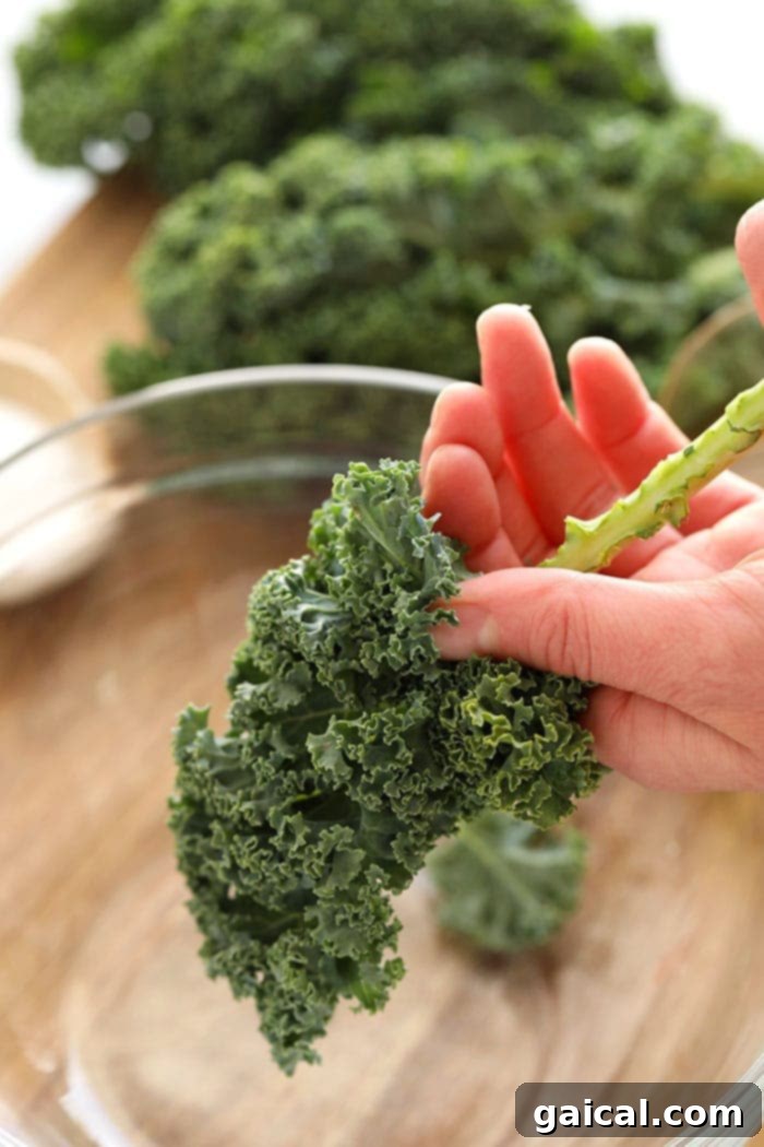 Massaged Kale Salads are all the rage right now. We love massaged kale salads, but how do you massage kale? Don't worry, we've got you covered with this super simple tutorial! Let's massage some kale- it's easier than you think. A hand expertly removing the tough central stem from a fresh kale leaf, preparing it for massaging.