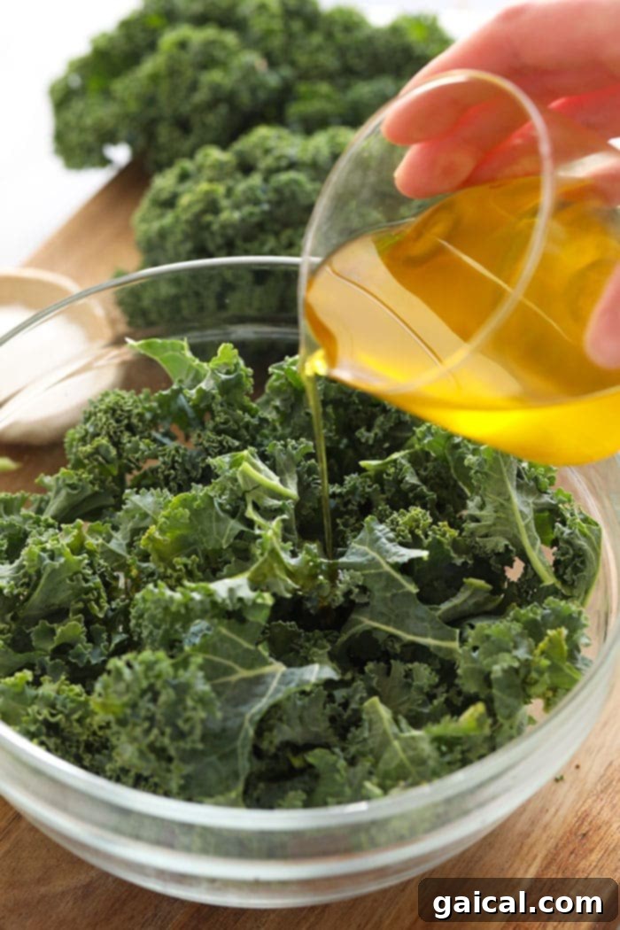 Massaged Kale Salads are all the rage right now. We love massaged kale salads, but how do you massage kale? Don't worry, we've got you covered with this super simple tutorial! Let's massage some kale- it's easier than you think. A stream of golden olive oil being poured over a bowl of freshly chopped kale, ready for massaging.