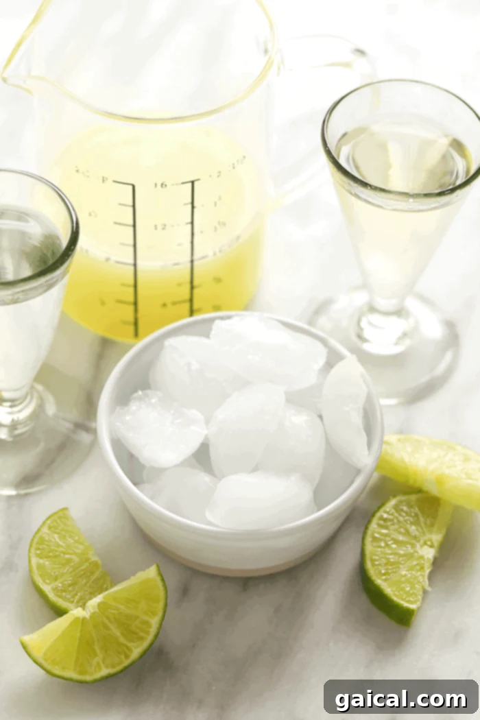 All the simple ingredients you need to whip up a quick and delicious frozen margarita at home. Key ingredients for frozen margaritas laid out: a bowl of fresh lime juice, a bottle of orange liqueur (triple sec), a bottle of tequila, a small jar of agave nectar, and a scoop of ice cubes.