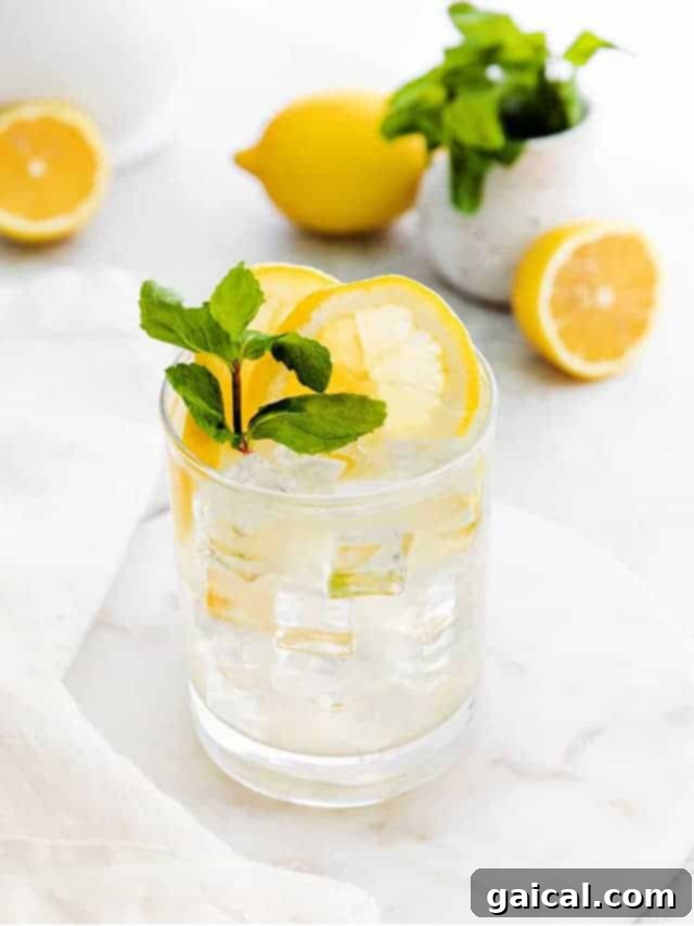 Vodka lemonade is the perfect easy cocktail to make any time of year. It’s made with minimal ingredients and the perfect combo of sweet and sour. A refreshing glass of vodka lemonade garnished with a lemon slice, highlighting its simple yet perfect blend of sweet and sour.