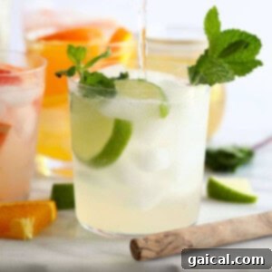 Over 15 Incredible Vodka Cocktail Recipes 14 A refreshing vodka lime cocktail garnished with mint leaves, served in a glass with ice.