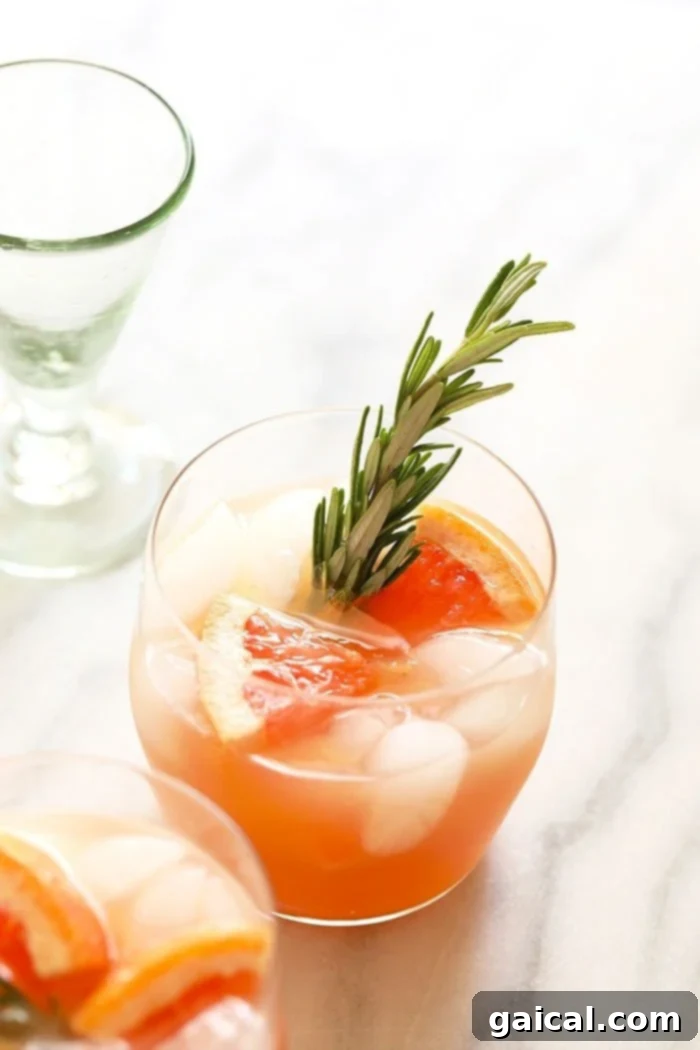 Golden Greyhound 2 A refreshing Honey Greyhound Cocktail in a tall glass, garnished with a sprig of rosemary.