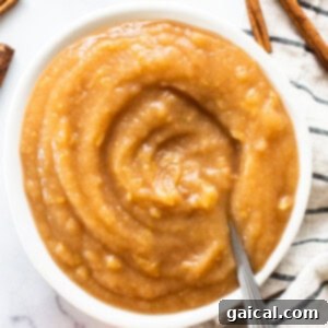 Apple butter in a white bowl with cinnamon sticks.