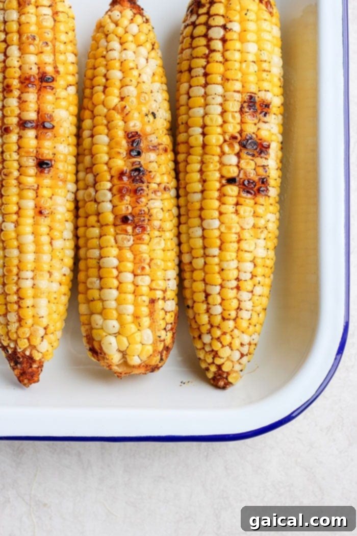 For the best flavor, this street corn salad is ideally made with grilled corn. Close-up of grilled corn on the cob, seasoned generously with chili powder and other spices.