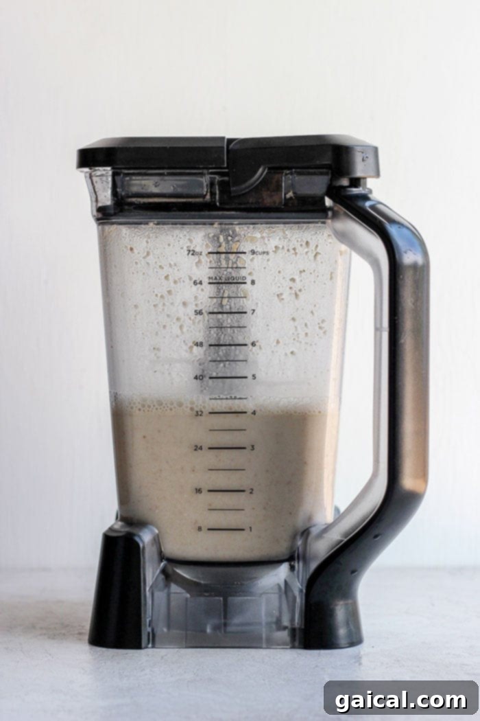 Homemade Oat Milk Ingredients in Blender Rolled oats, filtered water, and Medjool dates combined in a high-speed blender, poised to be transformed into creamy oat milk.