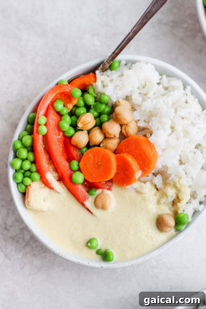 A perfectly plated bowl of creamy cashew curry with a side of white rice, garnished with fresh herbs and chopped cashews.