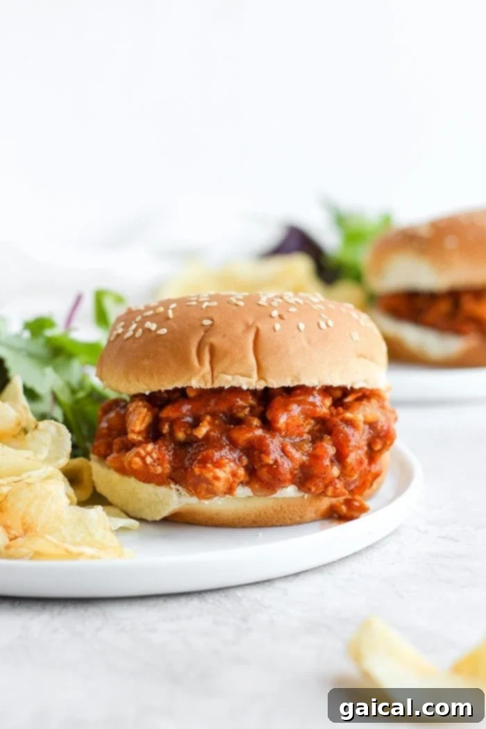 healthy sloppy joe on a bun with chips, accompanied by a side of crispy potato chips
