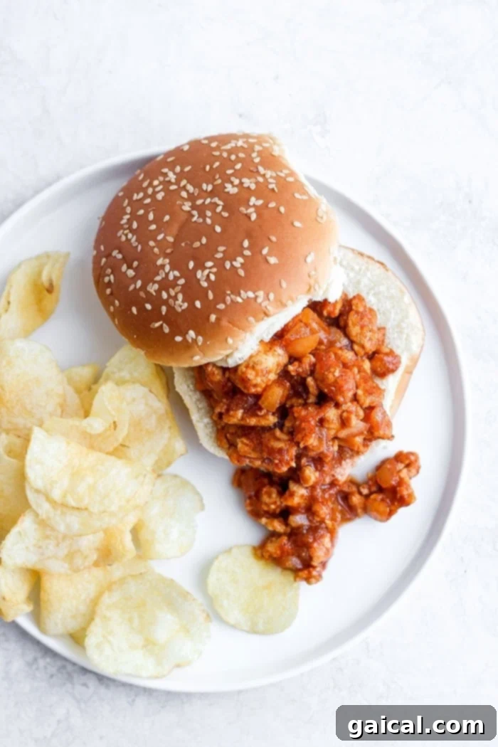 healthy sloppy joe on a bun served with a side of potato chips, showcasing a vibrant and appealing meal