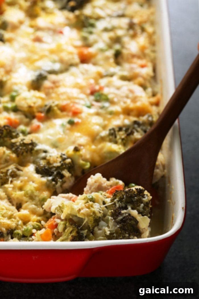 The BEST chicken casserole recipe is cheesy, high-protein, and packed with veggies! Plus, get 15 more delicious chicken casserole recipes! Spoon in a cheesy chicken and rice casserole dish