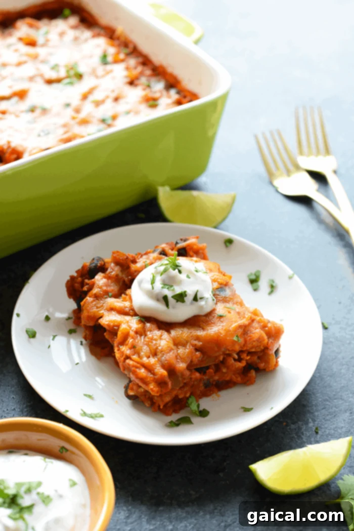Classic Midwestern Chicken Bake 5 Chicken enchilada casserole with cheese