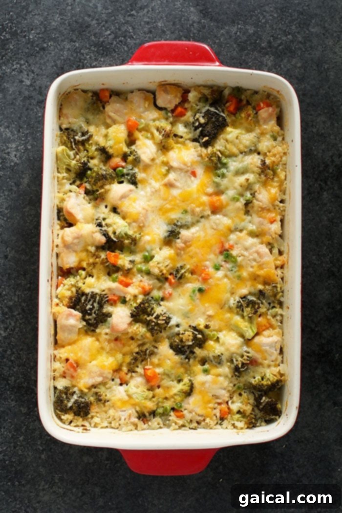 The BEST chicken casserole recipe is cheesy, high-protein, and packed with veggies! Plus, get 15 more delicious chicken casserole recipes! Chicken and rice casserole in a vibrant red pan