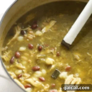 A pot of chicken, bean, and green chili soup, stirred with a large spoon, ready for serving.