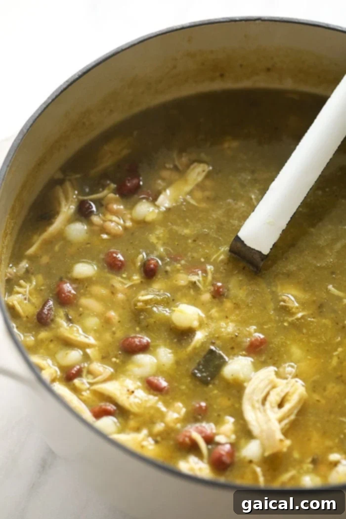 Ladle of Green Chili A ladle scooping rich, green chicken chili from a large stockpot, ready to be served.