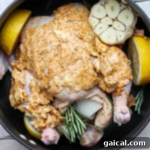 A raw whole chicken in a pan, seasoned with butter and herbs under the skin, with onion, rosemary, and thyme in its cavity.