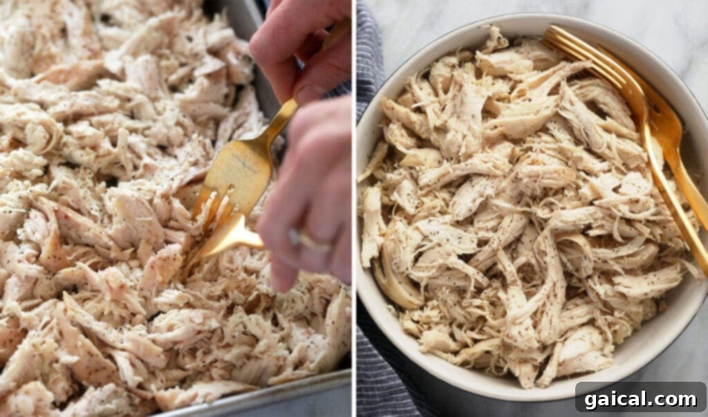 Freshly prepared shredded chicken, a versatile ingredient for numerous recipes. Perfectly shredded chicken in a bowl, glistening and ready to be mixed into a vibrant salad.