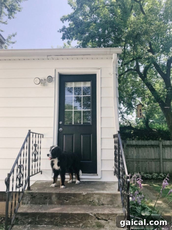 Backyard White Siding Charcoal Door Charcoal Door with White Siding and Green Grass Backyard View