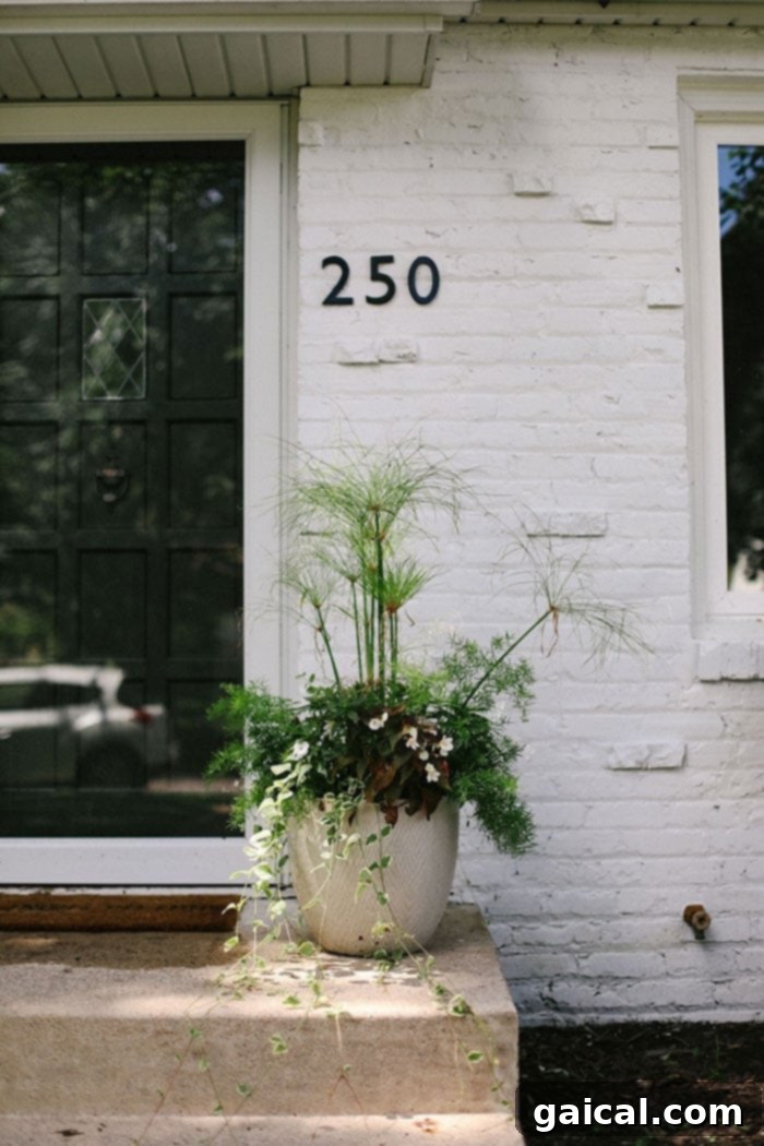Flower Pot on White Brick House White Brick House with Stylish Flower Pot and Black Accents